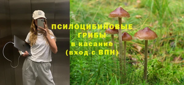 хмурый Мегион